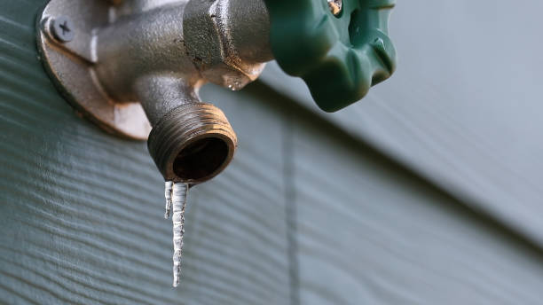 Best Local Plumber Services  in Rutherford, TN